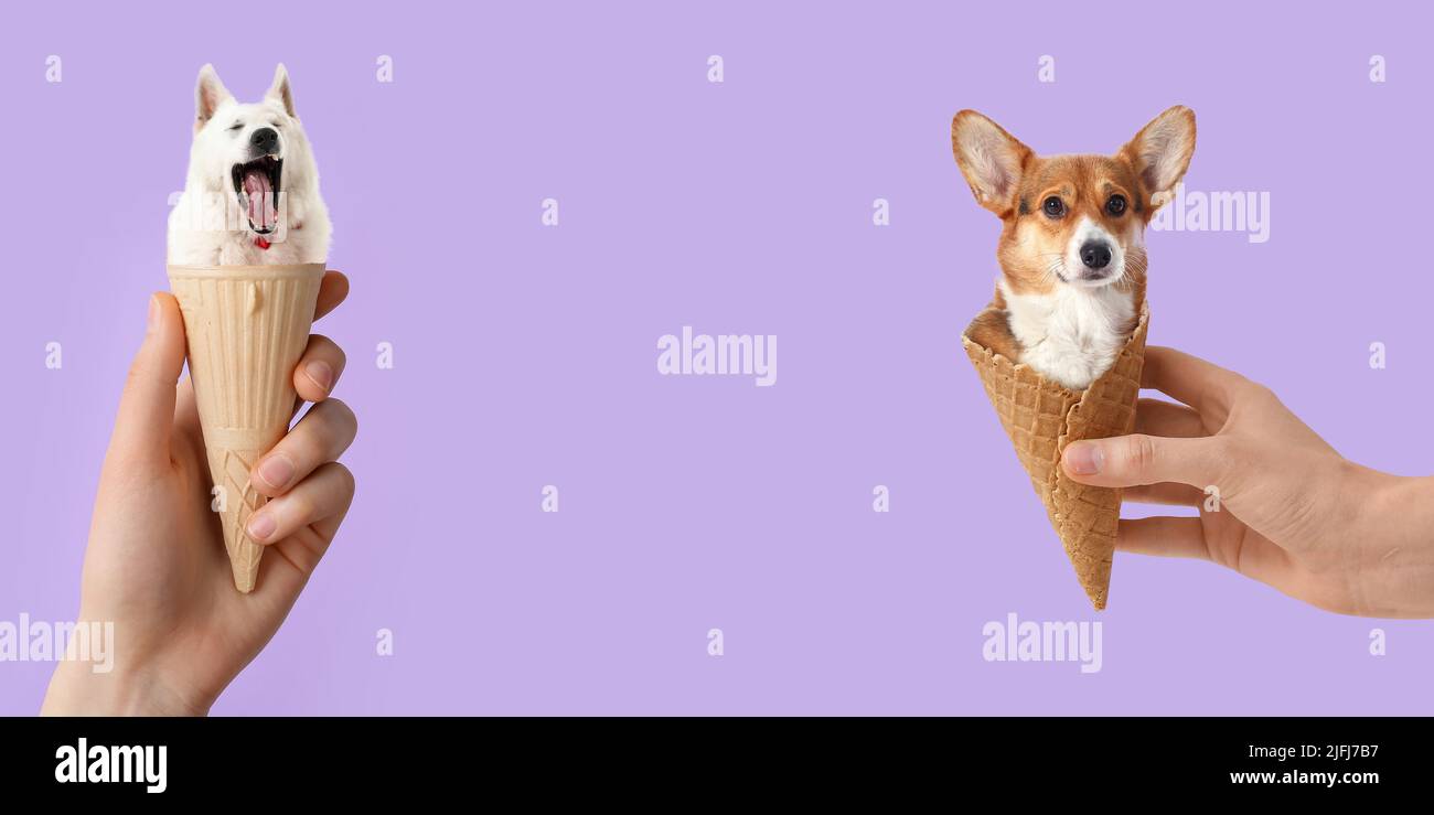 Hands holding funny dogs in wafer cones on color background with space