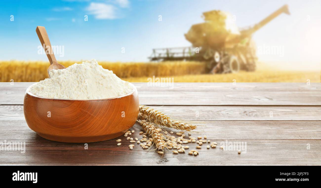 Bowl with wheat flour on wooden table in field with combine harvester