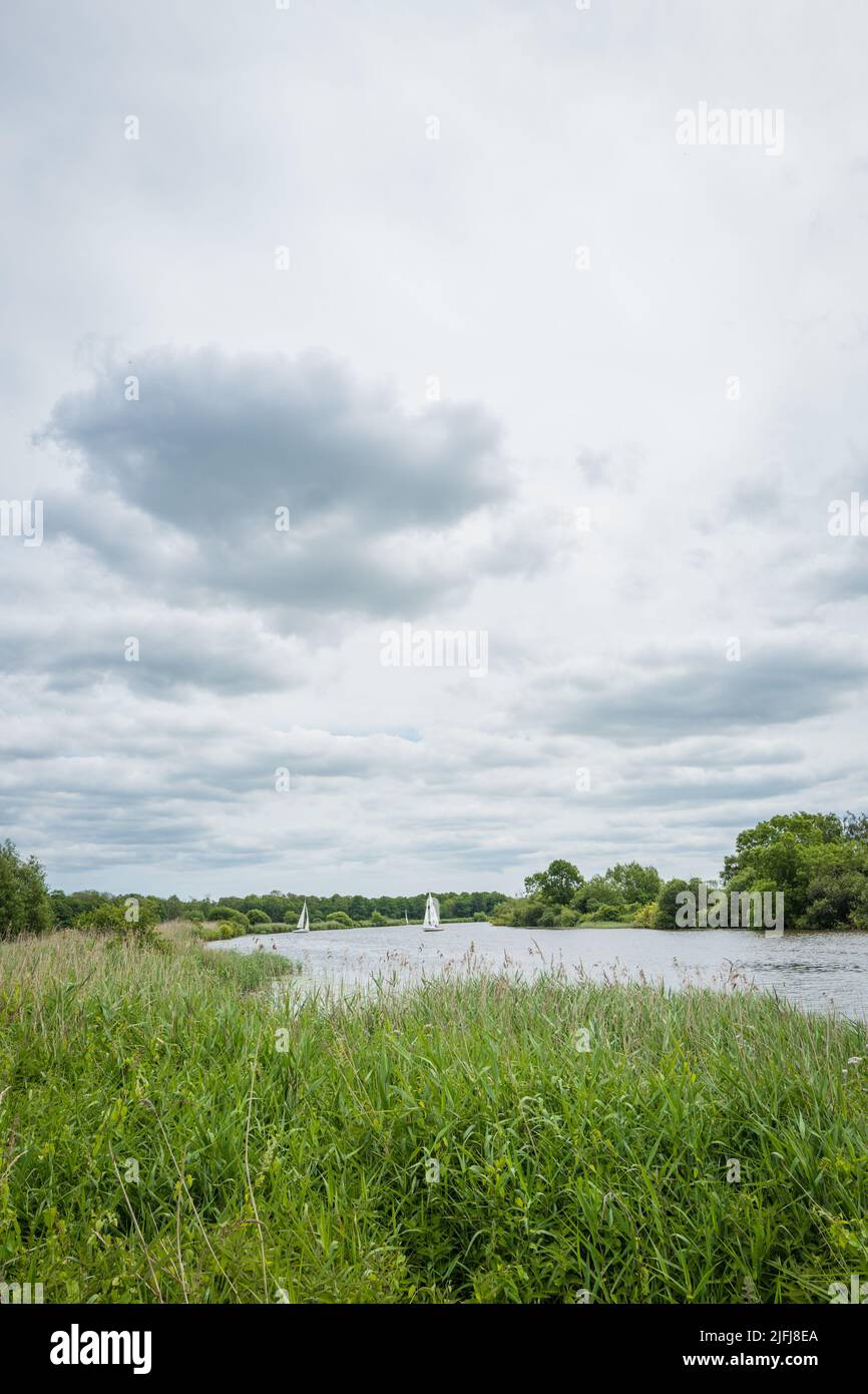 Sailing boats and river cruisers on the Norfolk Broads. Stock Photo