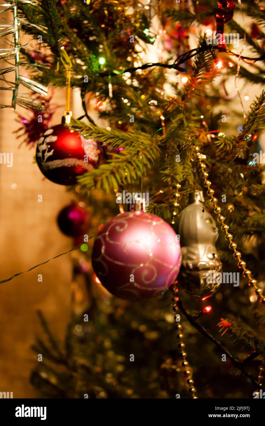 The holiday is a new year or Christmas, in the photo a live fir tree is decorated with toys, tinsel and beads. Retro. Stock Photo