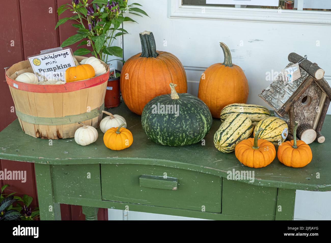 Pumpkins etc for sale at a farm store Stock Photo Alamy