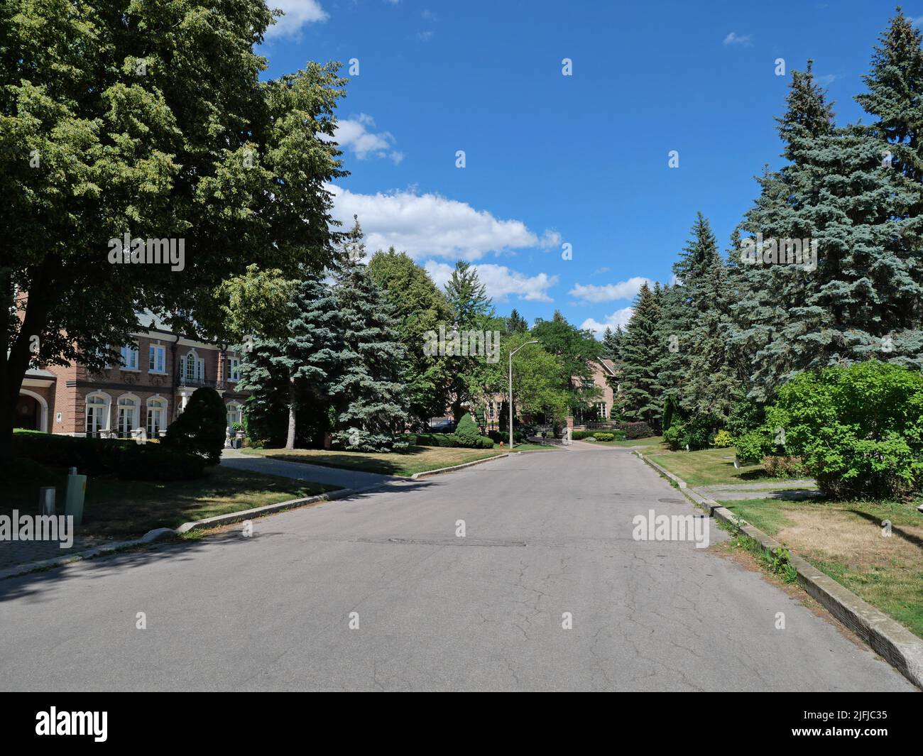 Suburban residential street of large traditional detached houses, lined with trees Stock Photo