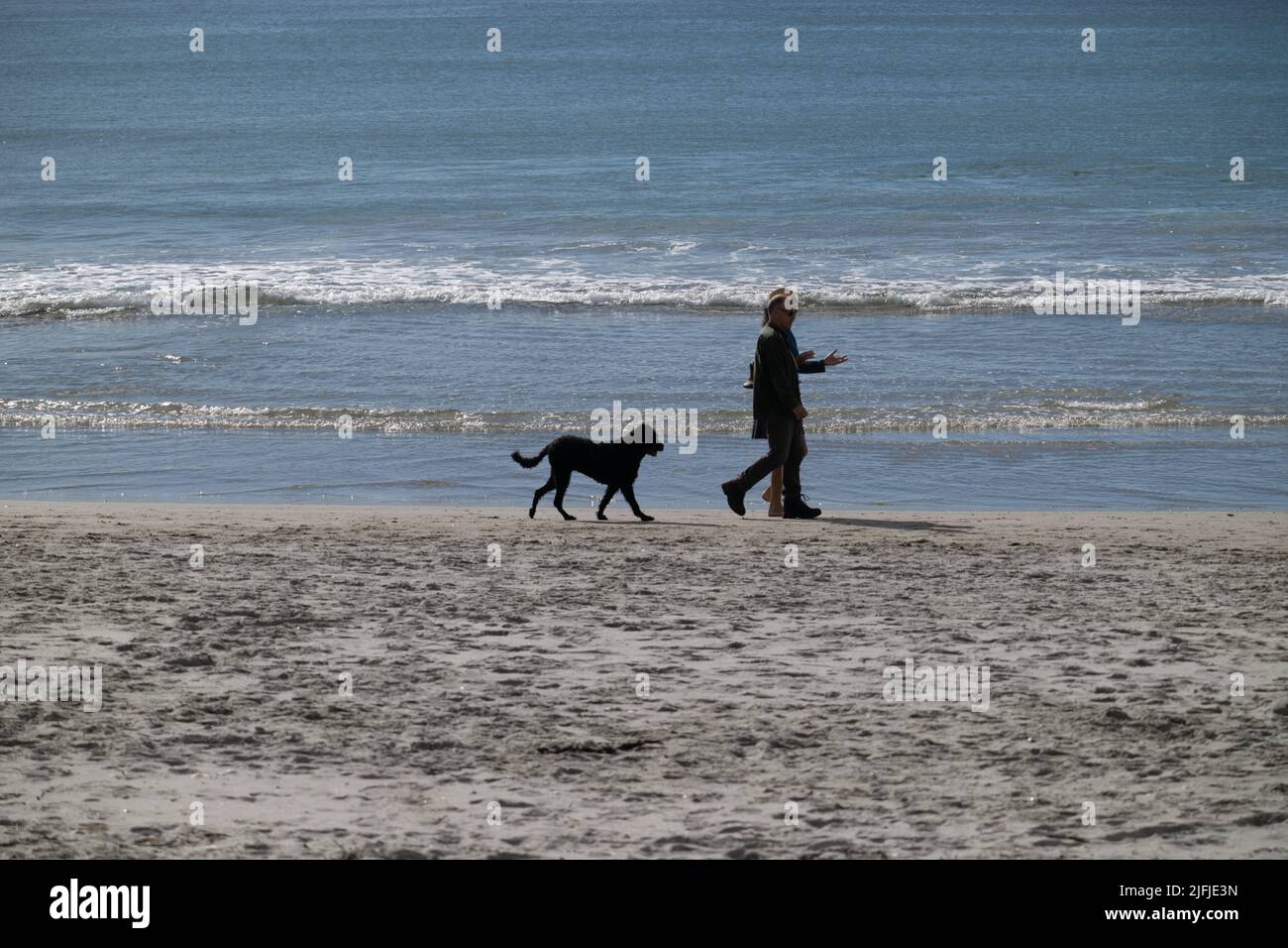 Tauranga New zealand July 3 2022; Two men and black dog in silhouette