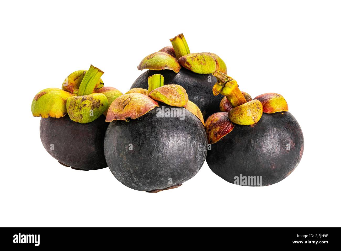 Ripe mangosteen isolated on white background with clipping path. Mangosteen fruit is commonly known as queen of fruit. It ripe in summer season. Stock Photo