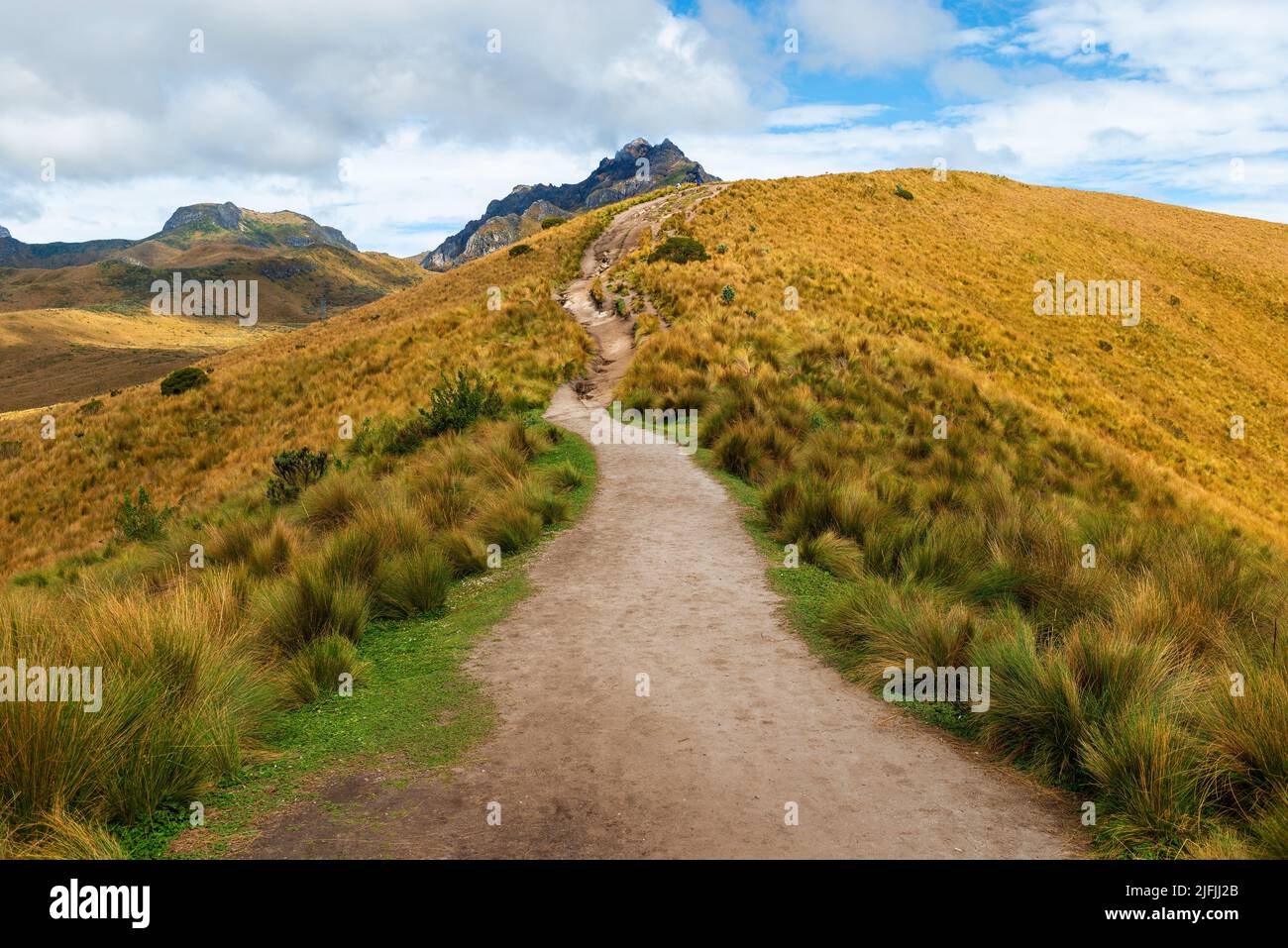 Hiking trail along the Rucu Pichincha peak hike, Pichincha volcano, Quito, Ecuador. Stock Photo