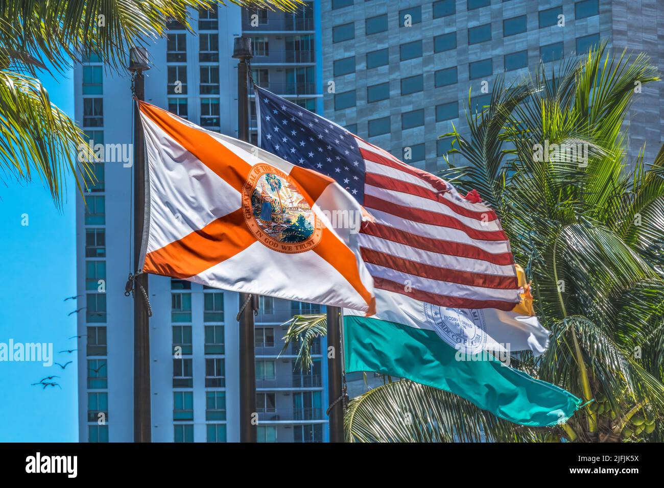 US Florida Flags Birds Plam Trees Street Buildings Miami Florida Stock