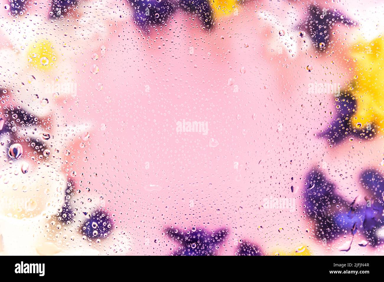 Floral background. Various daffodil flower heads, hyacinth blurred top view flat lay with water drops on the glass. Deep purple, pink, white, yellow colors. Copy space for text. High quality photo Stock Photo