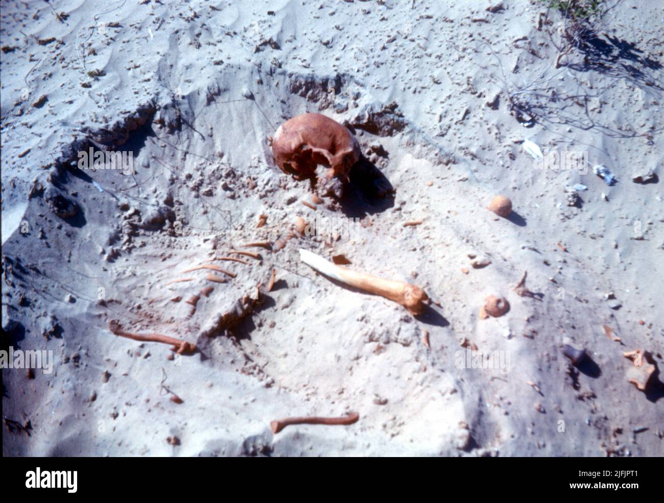 Skeleton from the Battle of Shela 1812-15, Lamu Island, Kenya Stock Photo
