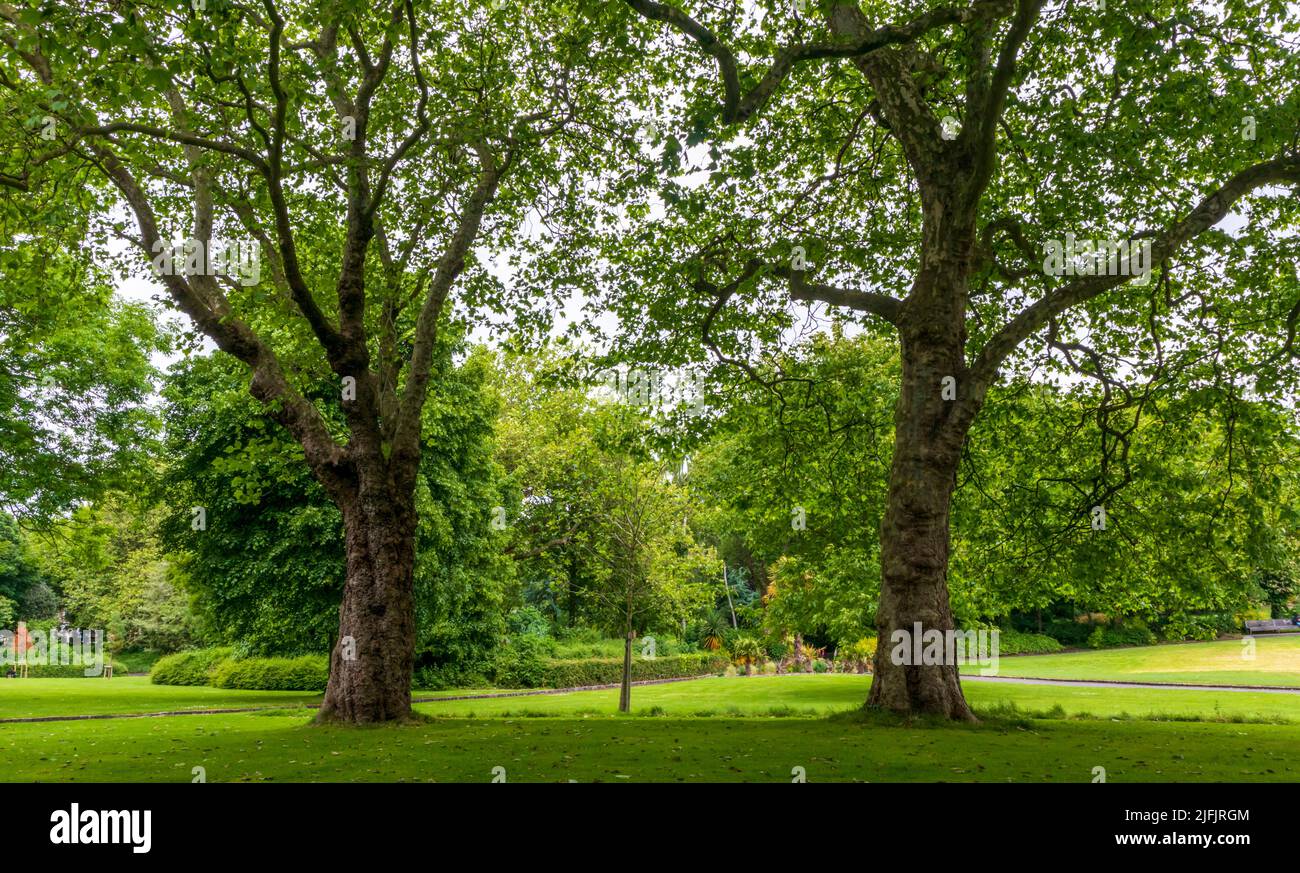 Scenic view of Merrion Square Park in Dublin, Ireland Stock Photo