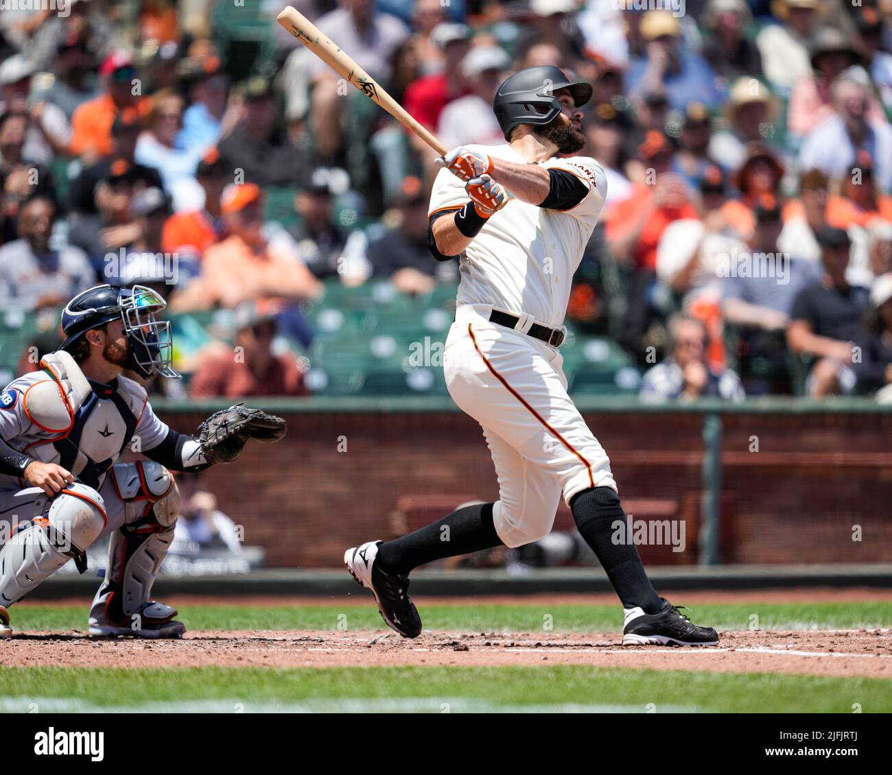 San Francisco Giants Infielder Donovan Walton (37) at bat during an MLB