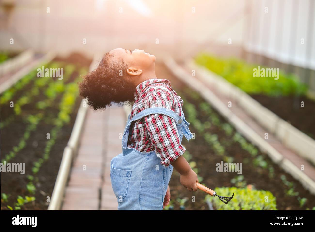 happiness child little girl enjoy happy play as farmer plant the tree in vegetables garden farm Stock Photo