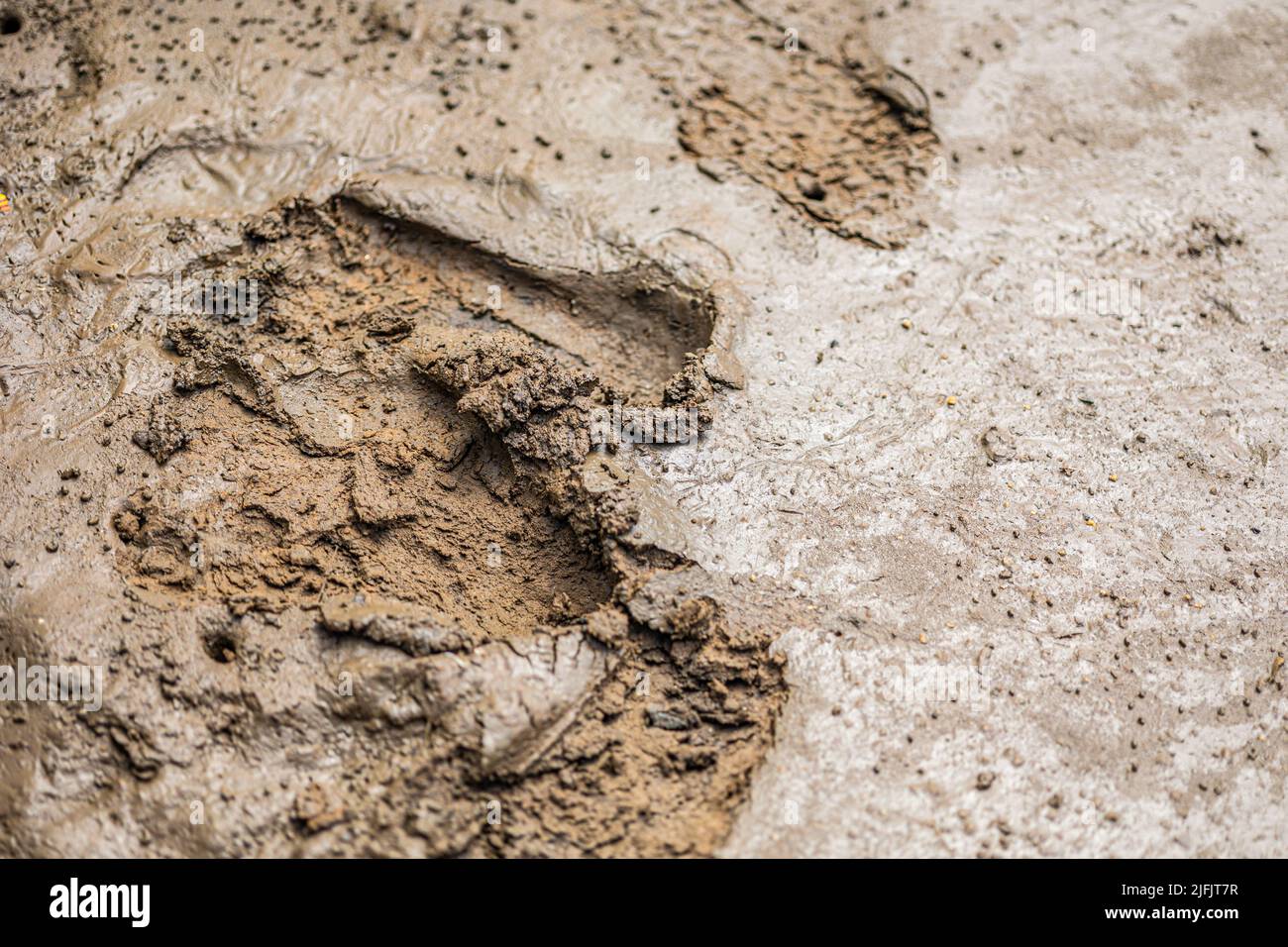 Sticky wet mud soft liquid suction land messy dirty brown clay nature texture for background. Stock Photo