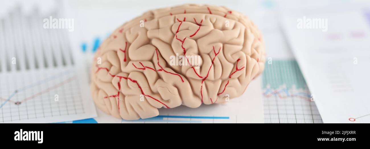 Brain On Table Mock up of a brain on a table with business document Stock Photo - Alamy