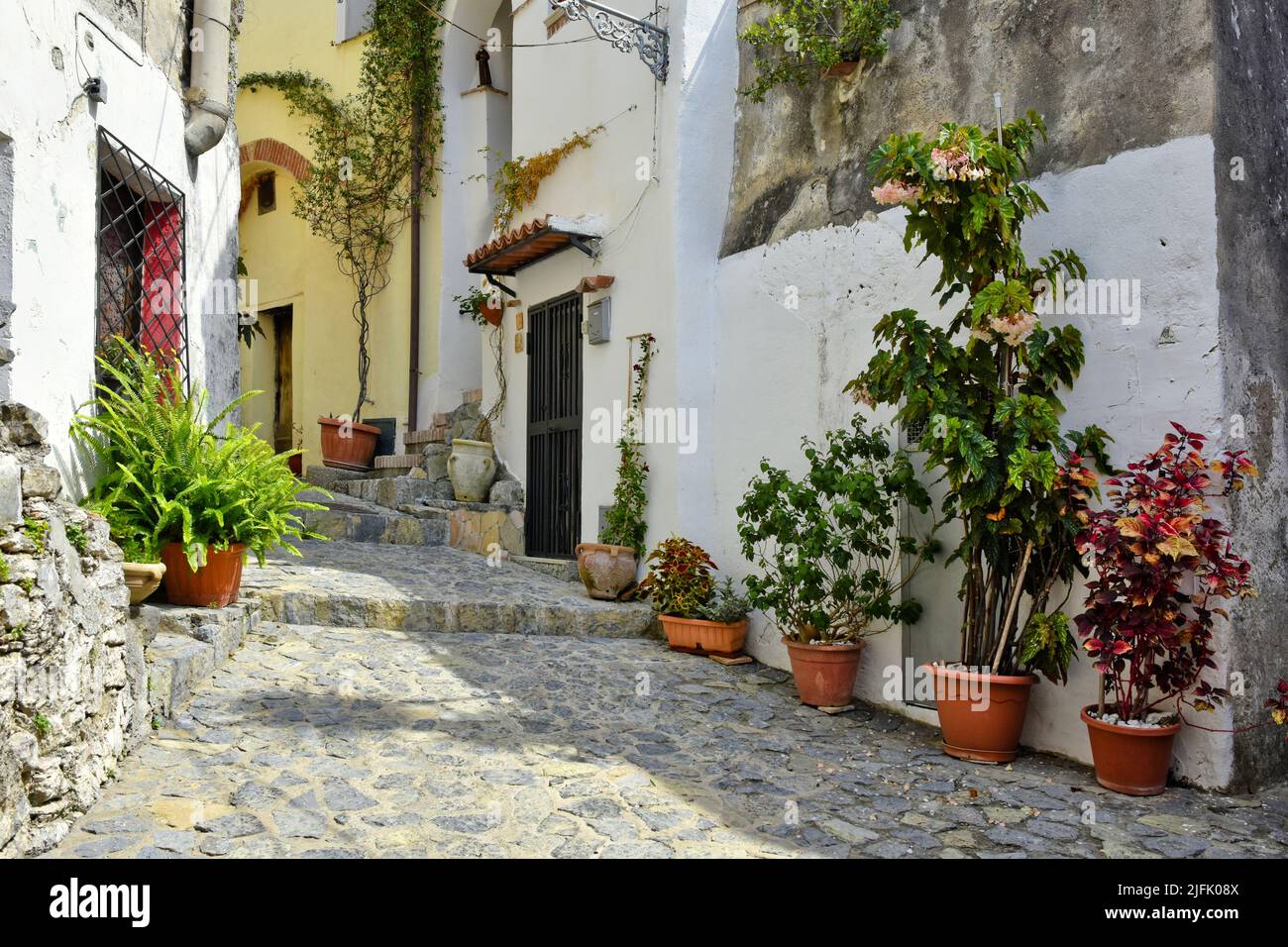 A beautiful shot of a narrow street between old houses in Scalea ...