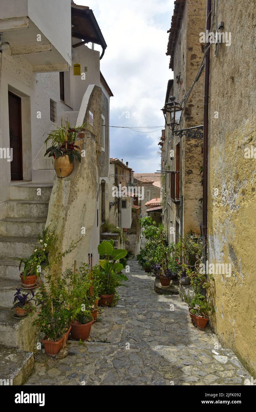 A vertical shot of a narrow street between old houses in Scalea village ...