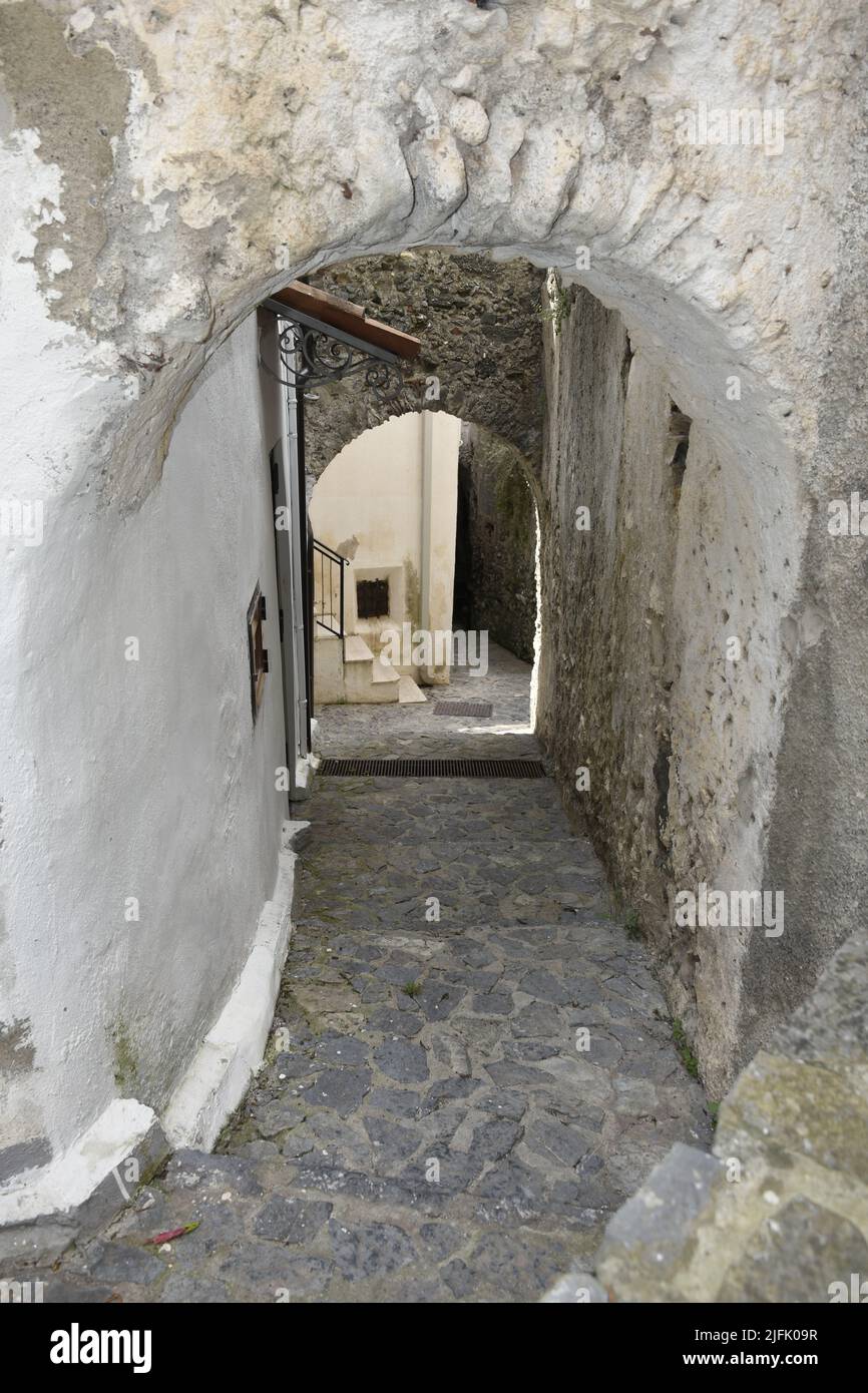 A vertical shot of a narrow street between old houses in Scalea village ...