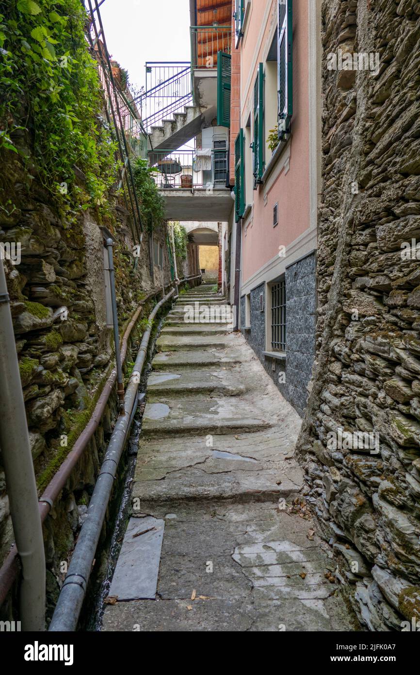 A vertical shot of a narrow street between old houses in Scalea village ...