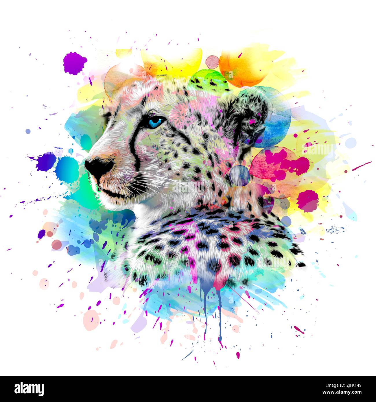 14+ Colorful Cheetah Print