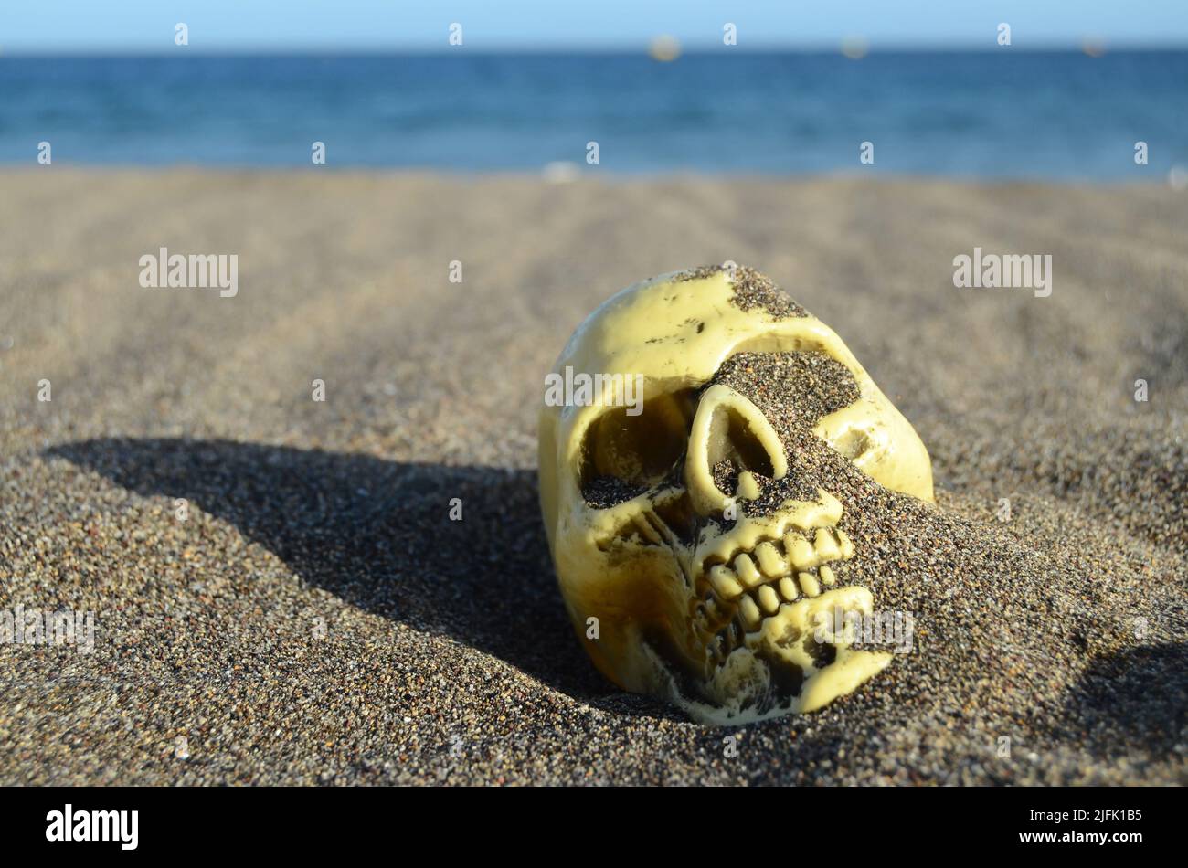 https://c8.alamy.com/comp/2JFK1B5/human-skull-on-the-sand-beach-near-ocean-2JFK1B5.jpg