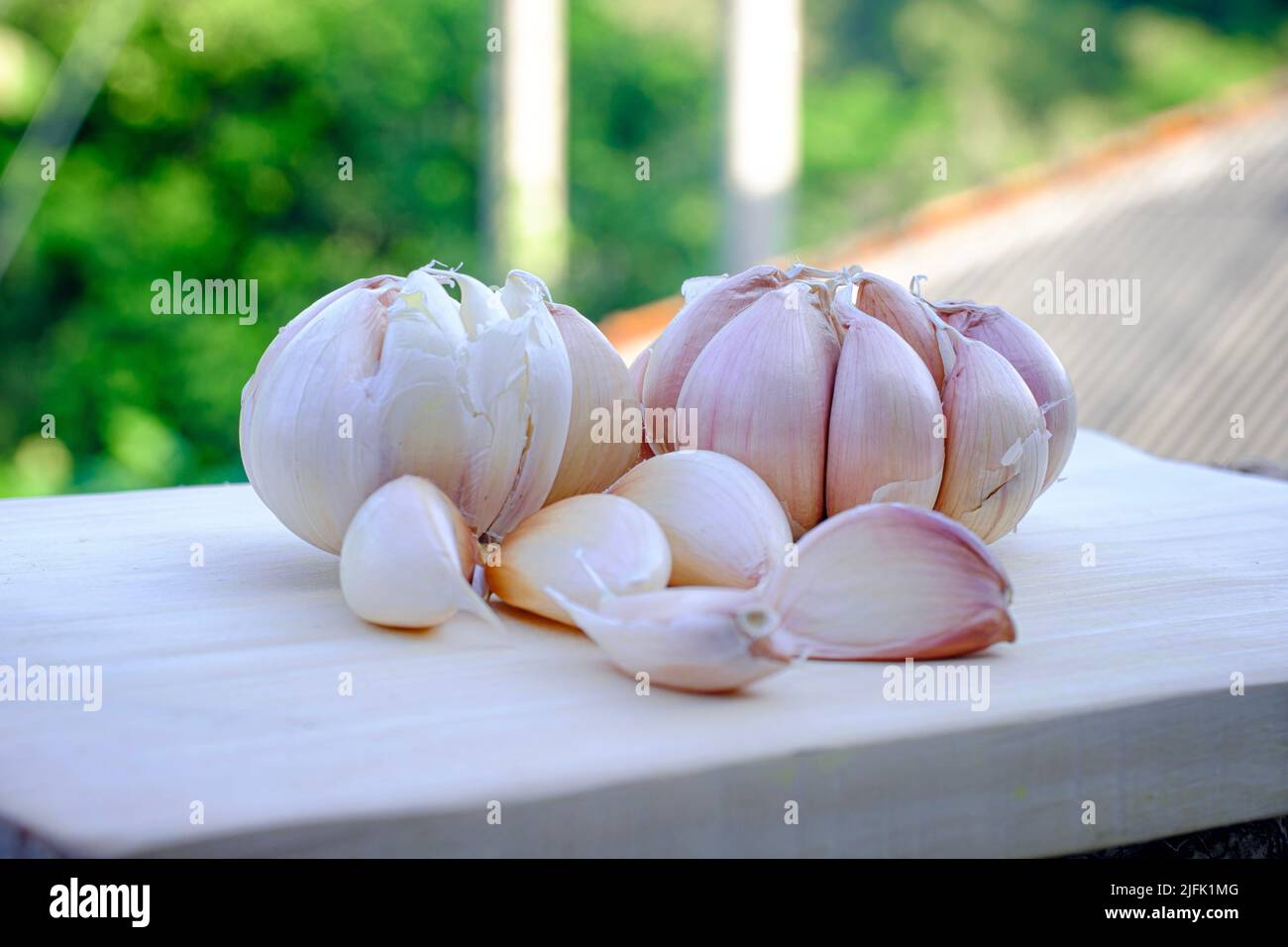 Heads and cloves of garlic. Thyme sprigs. Unpeeled head of garlic