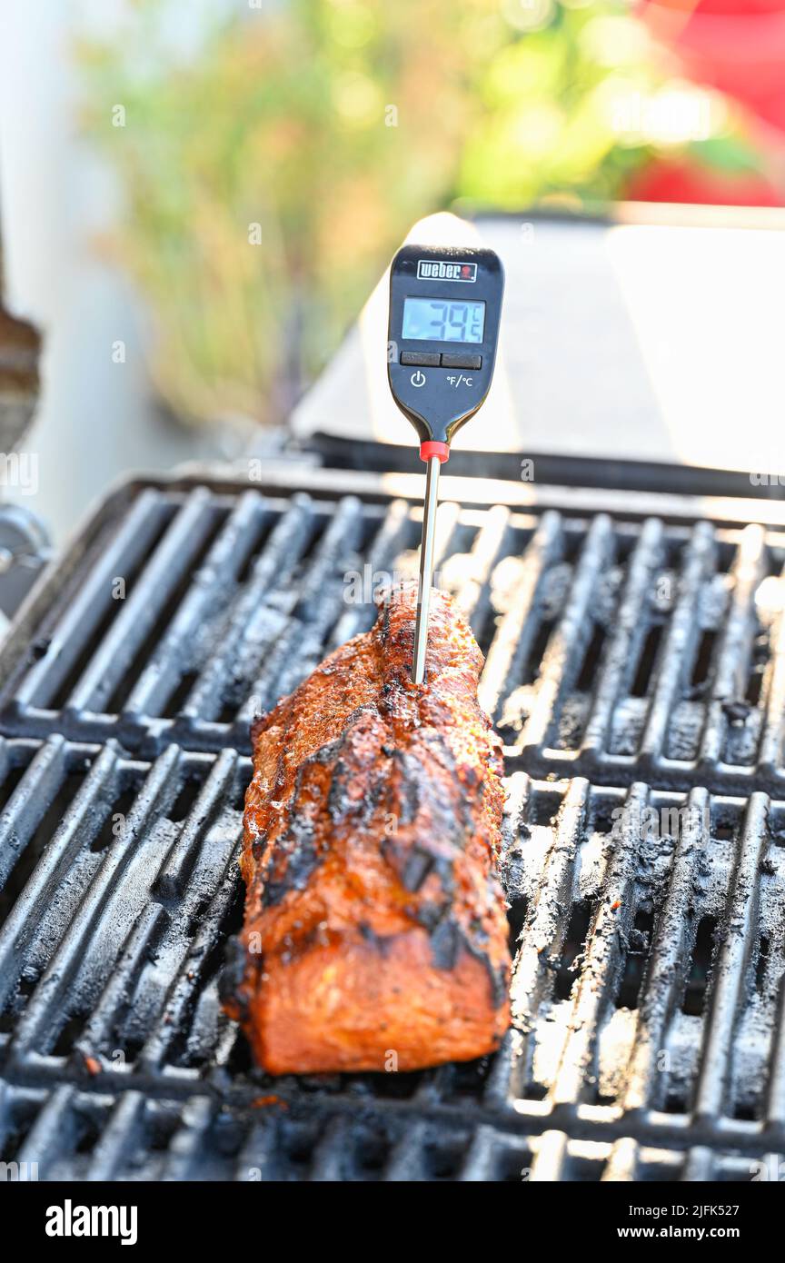 Meat thermometer stucked in to pork tenderloin on grill Stock Photo Alamy