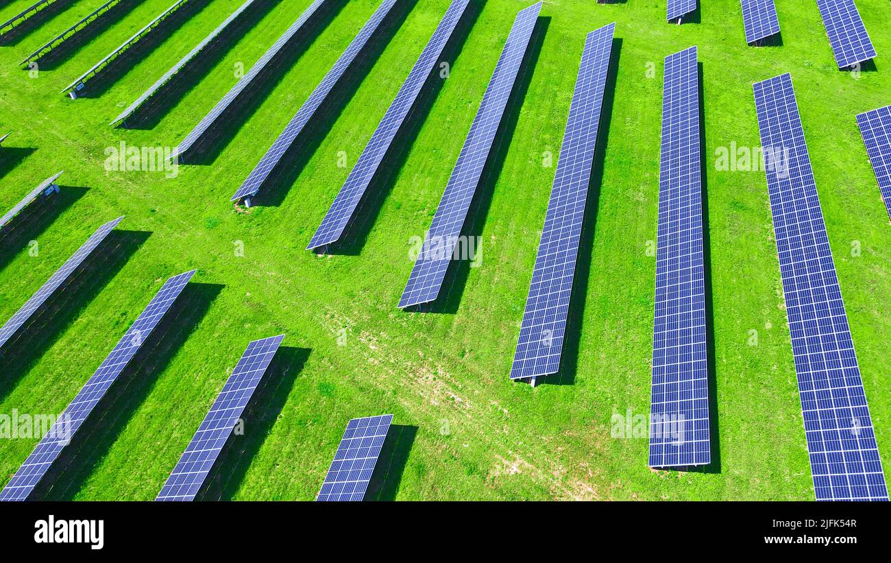 Solar panels battery in green field, aerial view. Photovoltaic modules