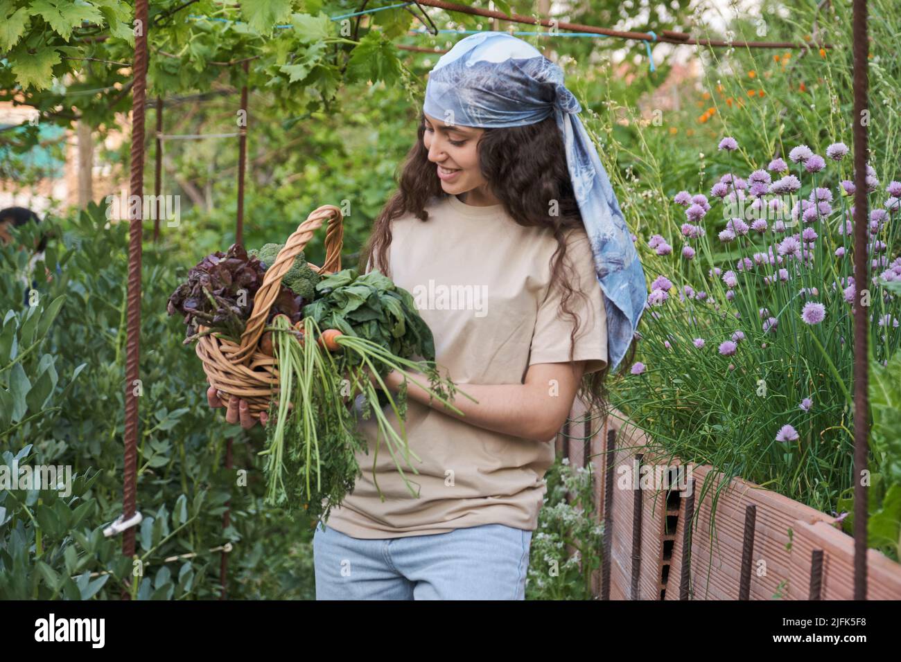 Morocco wicker basket hi-res stock photography and images - Alamy
