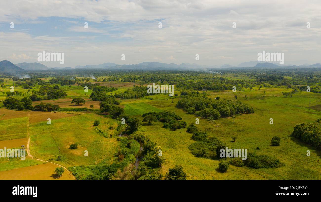Aerial view of valley with rice fields and agricultural lands. Sri