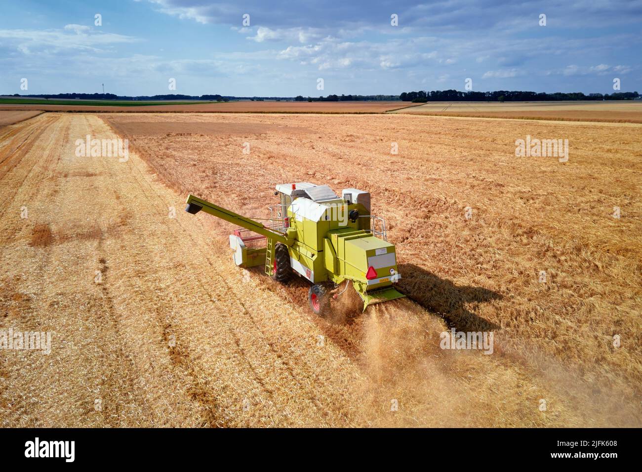 Combine harvester collecting golden wheat field, Harvesting machine ...