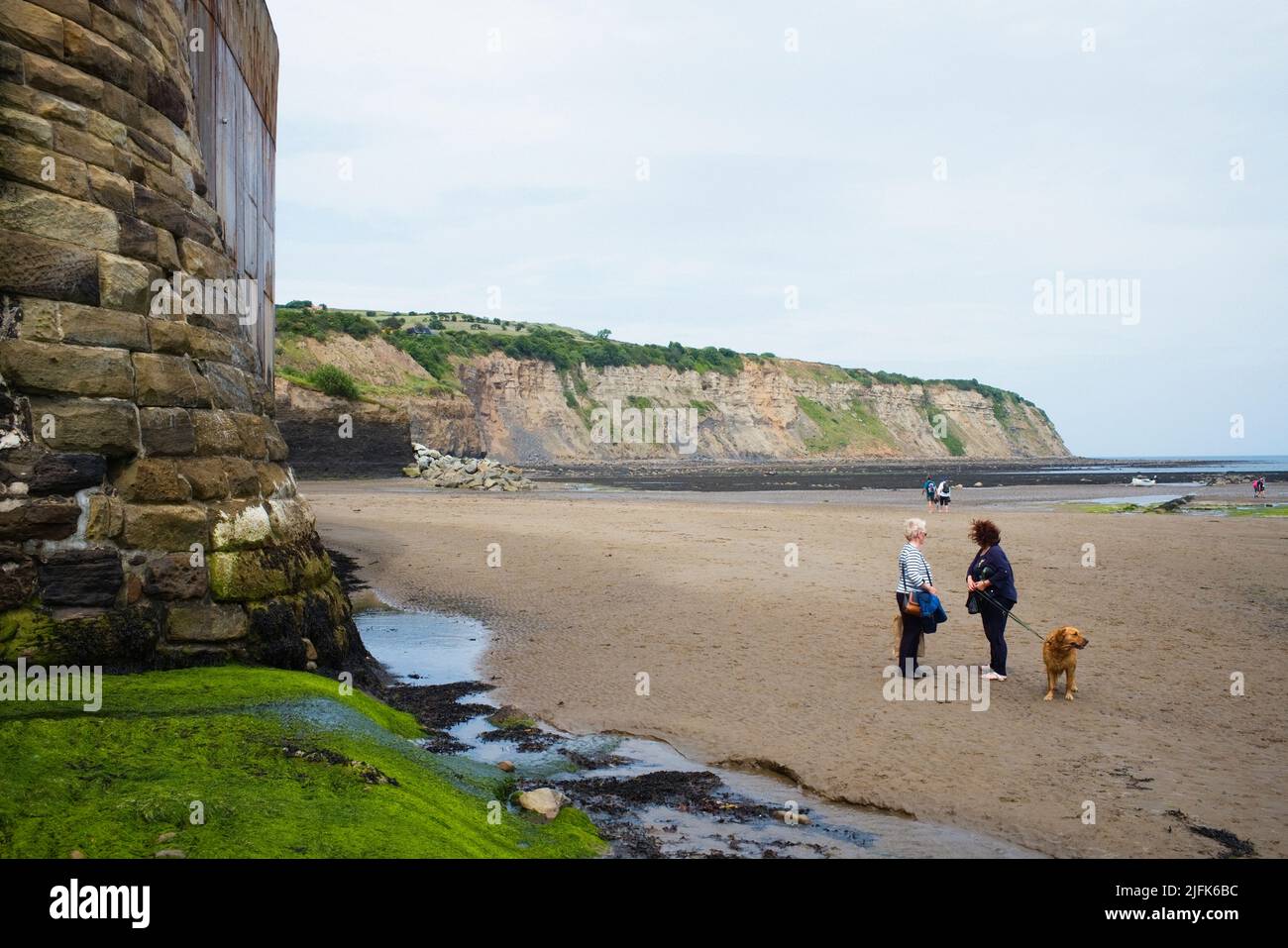 Dog walkers on the beach at Robin Hood's Bay, North Yorkshire Stock Photo