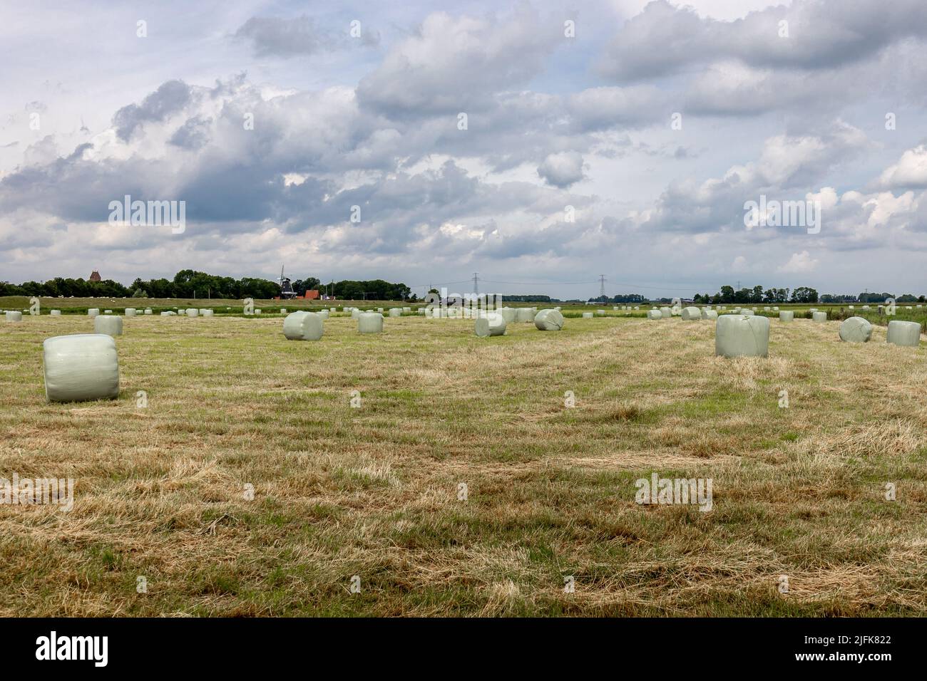 Farmers grassland with hay bales wrapped in plastic to serve as feed for the cows in winter time Stock Photo