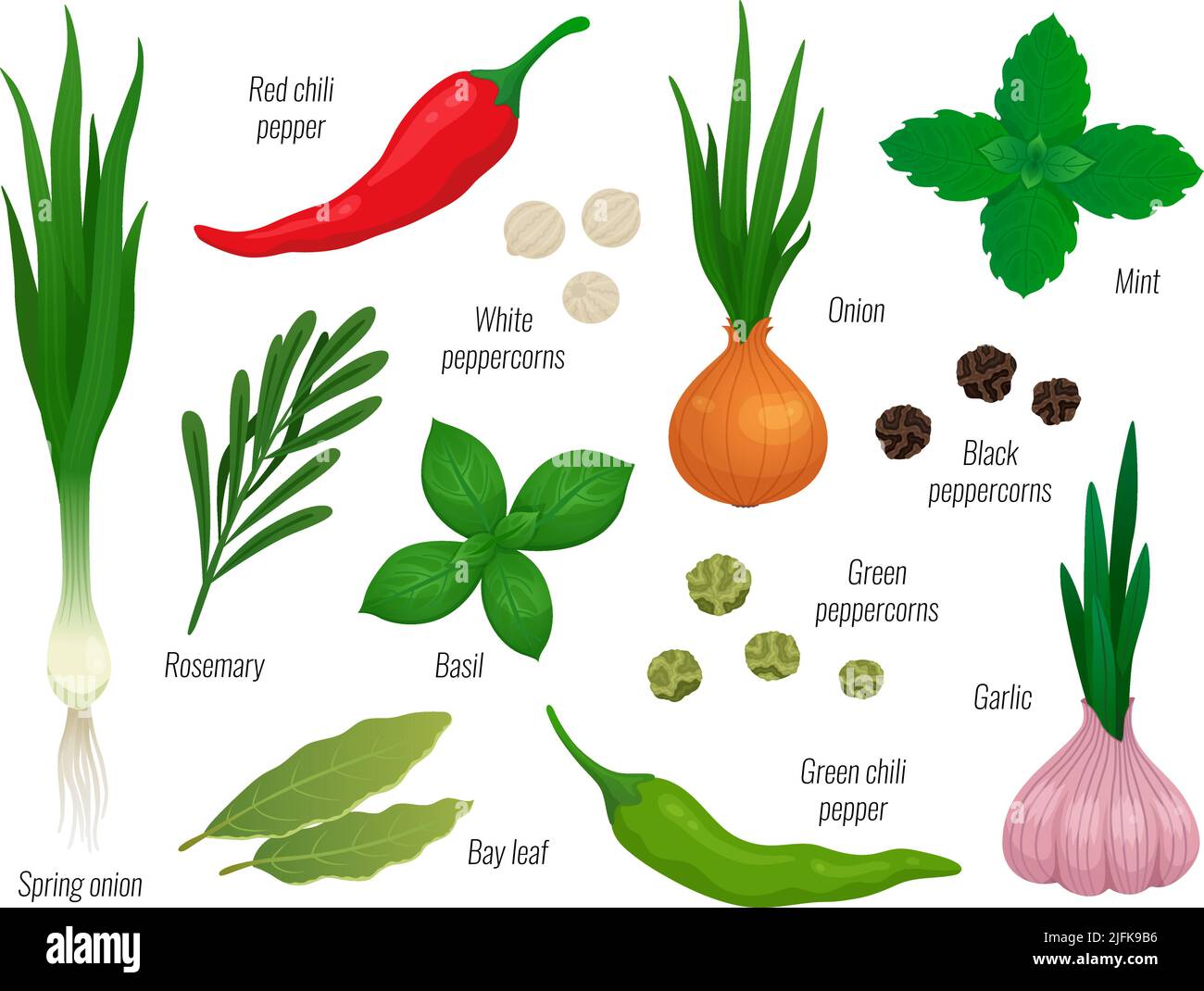 Cartoon spices set. Onion chili peppers, green herbs and basil. Oriental flavor spice, isolated peppercorns and culinary ingredients. Racy cooking raw Stock Vector