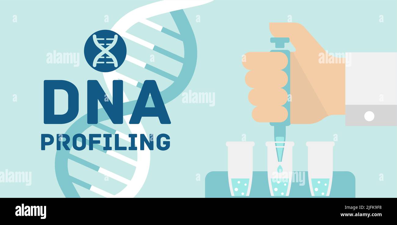 DNA profiling vector banner illustration Stock Vector