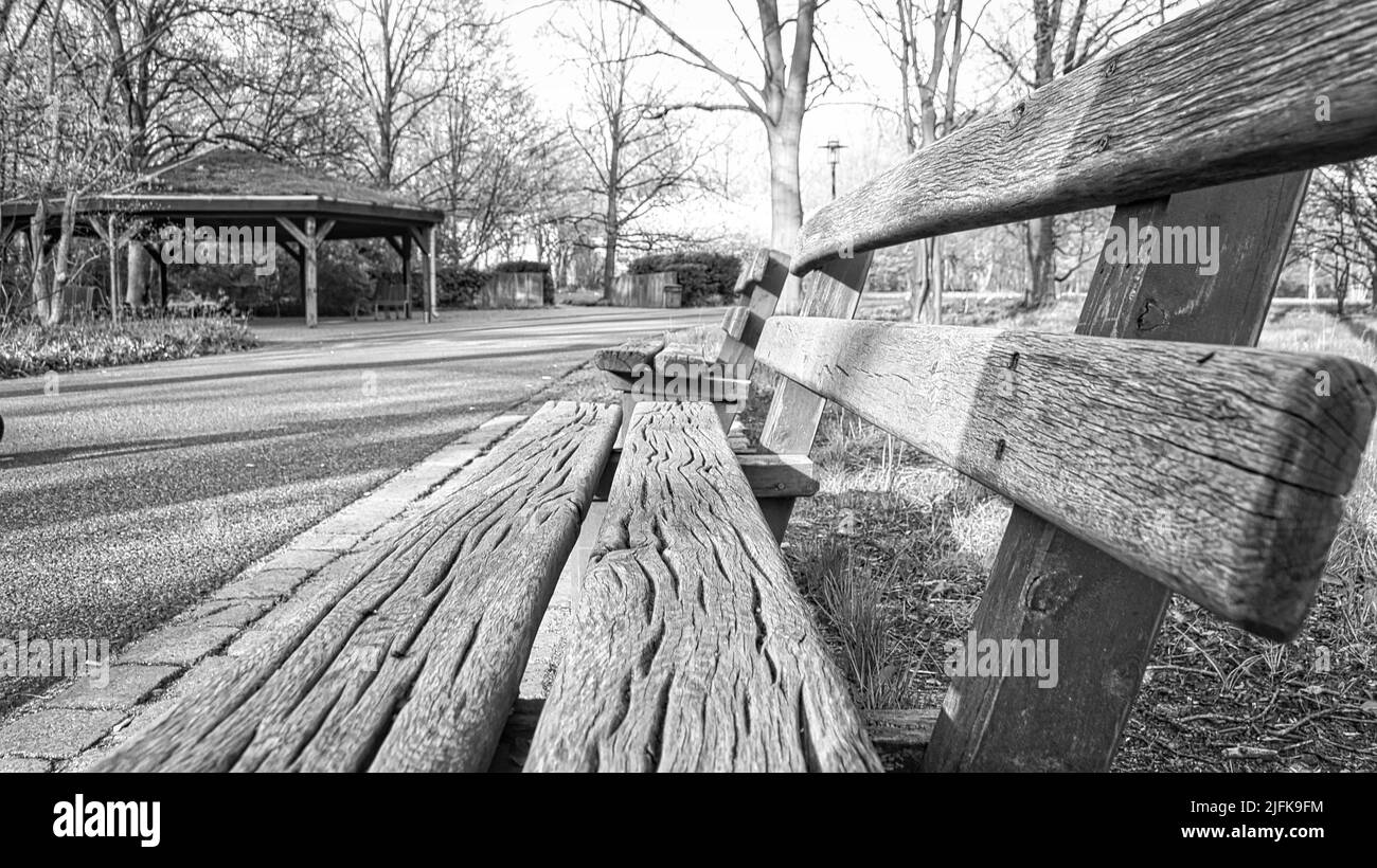 Park bench in black and white in the park. Bench made of wood. Resting after a walk. Photo from nature Stock Photo