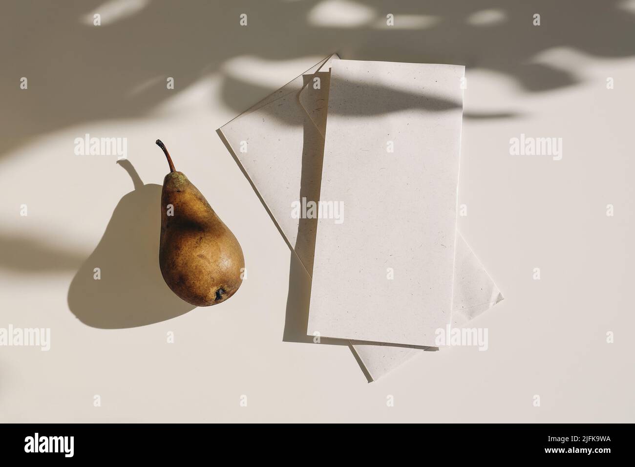 Illustration of Folded Textured Still Life Art