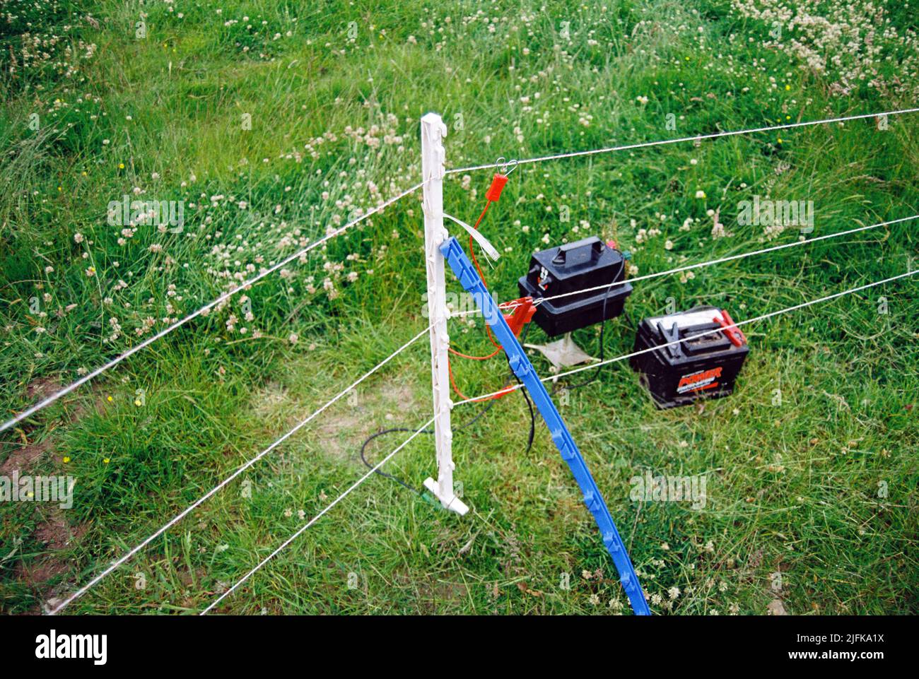 Electric sheep fence , High Bickington, Devon, England, United Kingdom