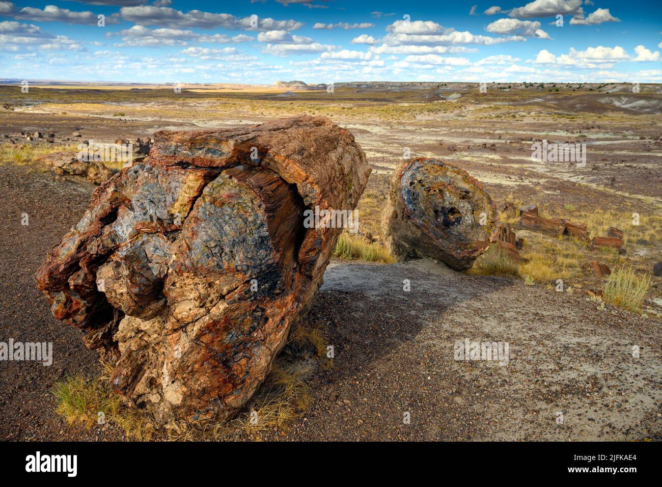 Petrified Forest National Park (fossils and large deposits of petrified