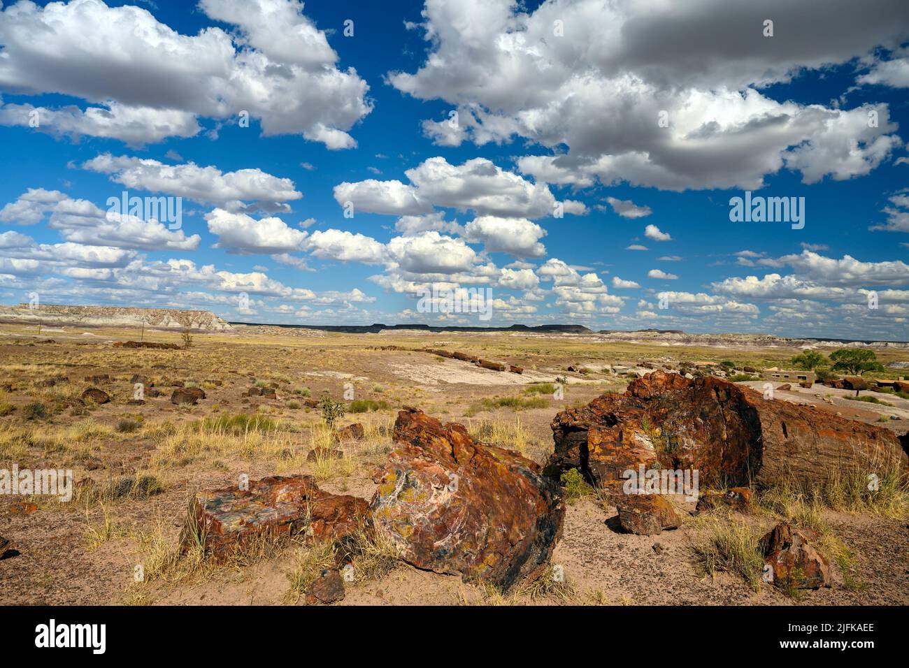 Petrified Forest National Park (fossils and large deposits of petrified