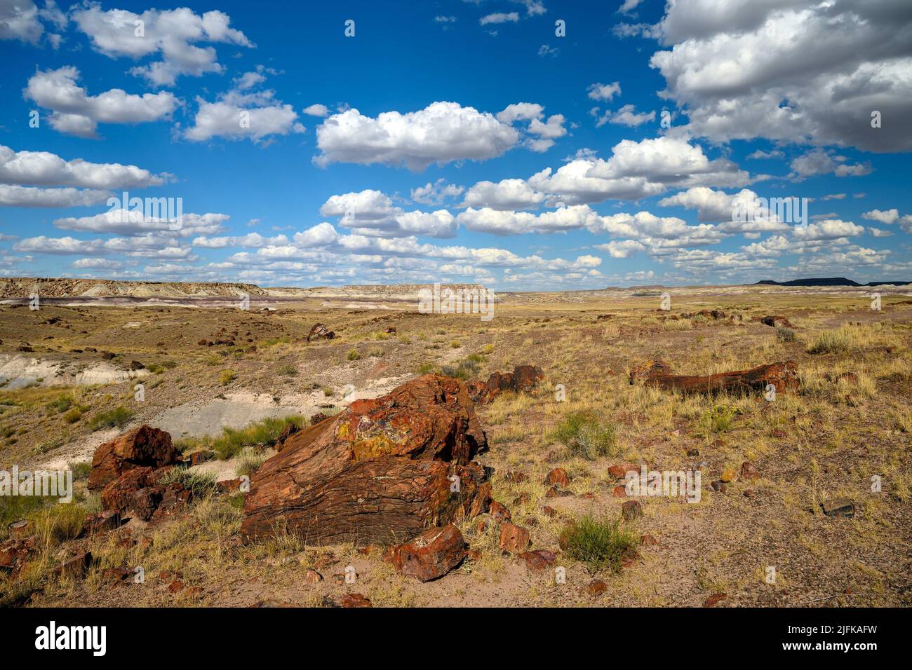 Petrified Forest National Park (fossils and large deposits of petrified