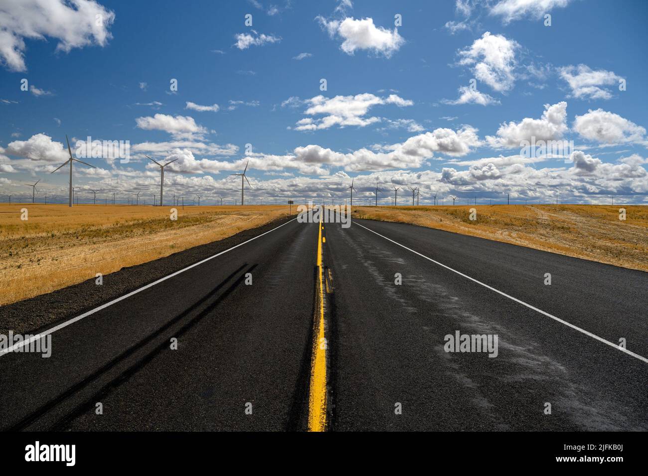 Empty road goes through an open land hundreds of wind turbines on it, in California, United States of America. Stock Photo