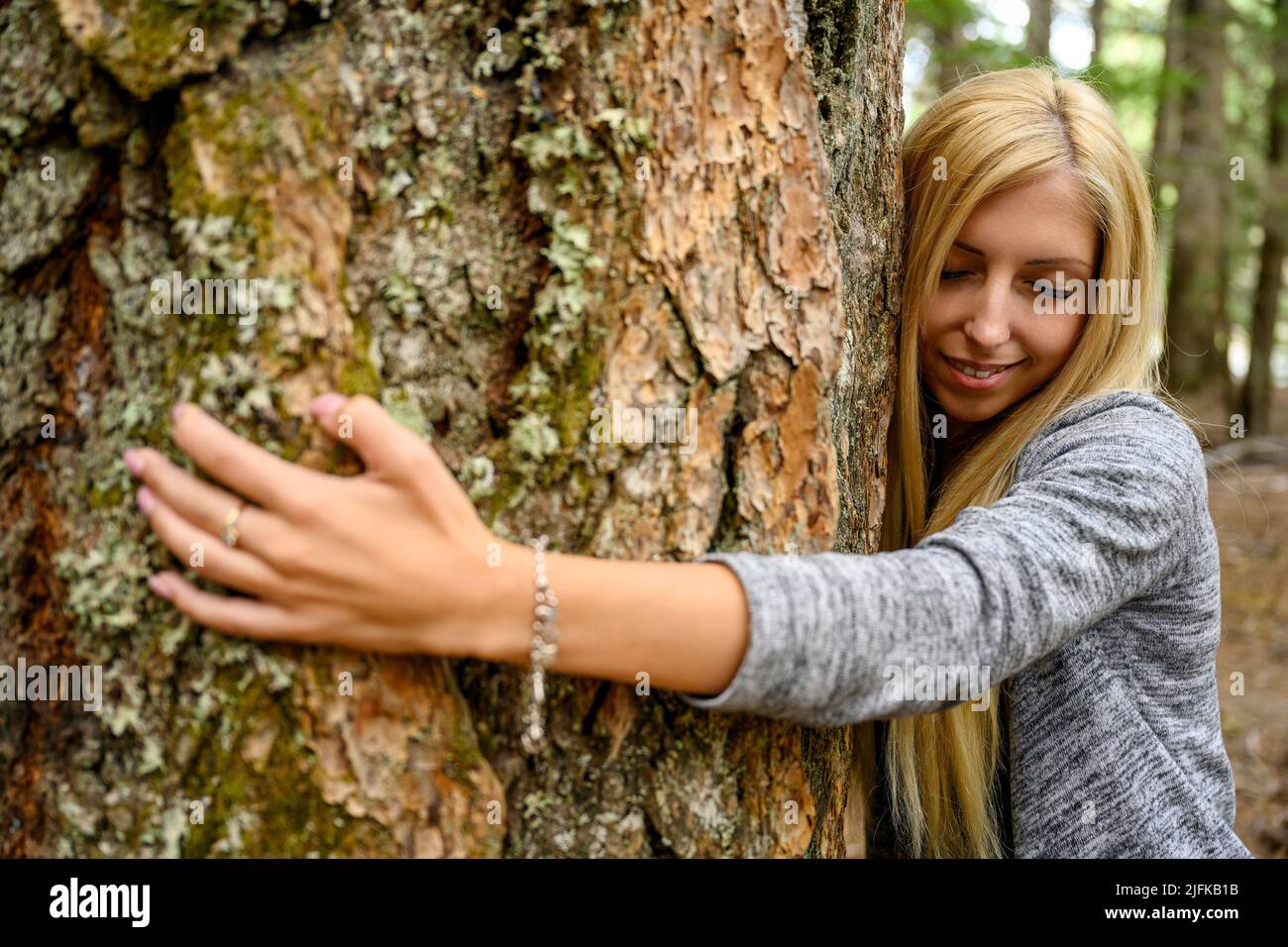 Portrait of an attractive young woman, showing love you in her facial emotion while hugging a big pine tree in Mount Rainier National Park, Stock Photo