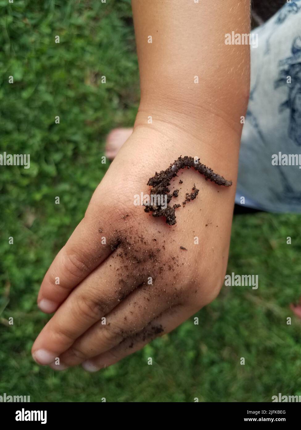 a-child-s-hand-with-a-dirty-worm-on-it-stock-photo-alamy
