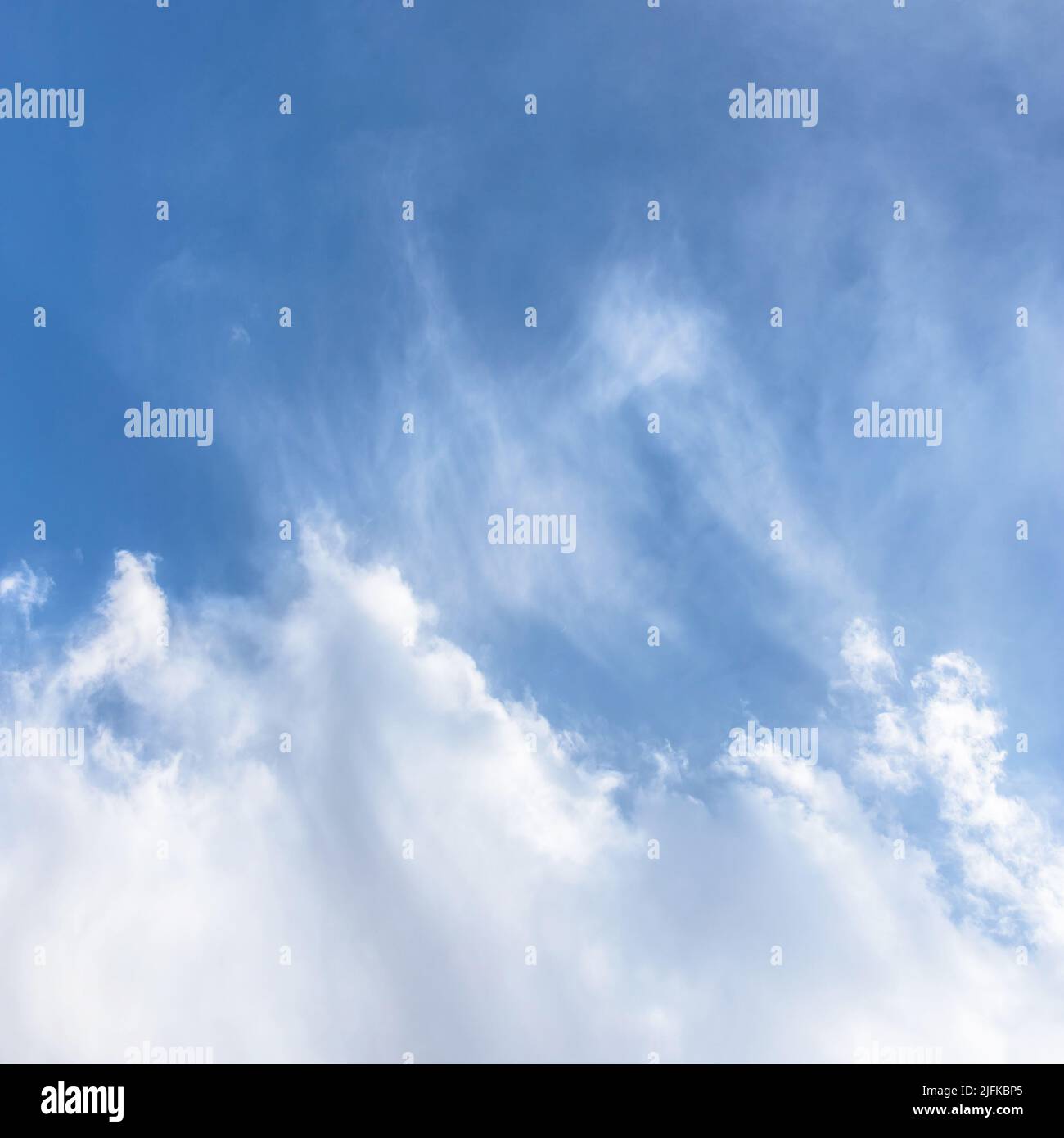 SCATTERED - WHITE main image 1
