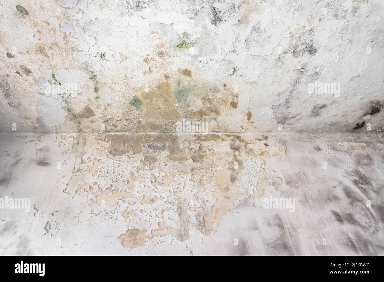 Mold fungus on ceiling and wall of roomcreating health problems for the