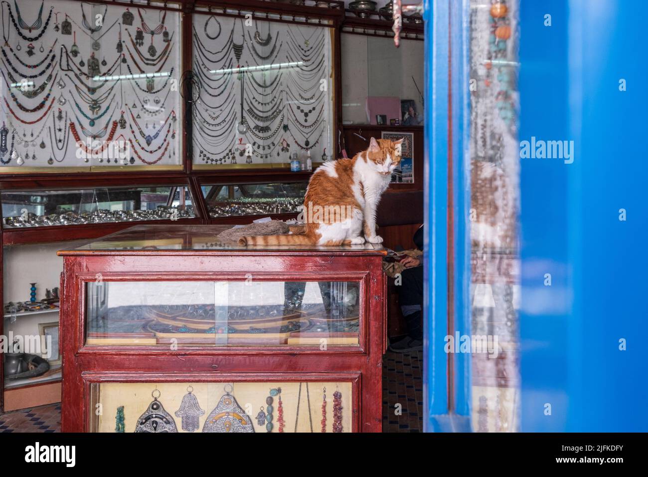 cat on the counter of a jewelry store, Surroundings of the Ben Youssef Mosque, Essaouira, morocco, africa. Stock Photo