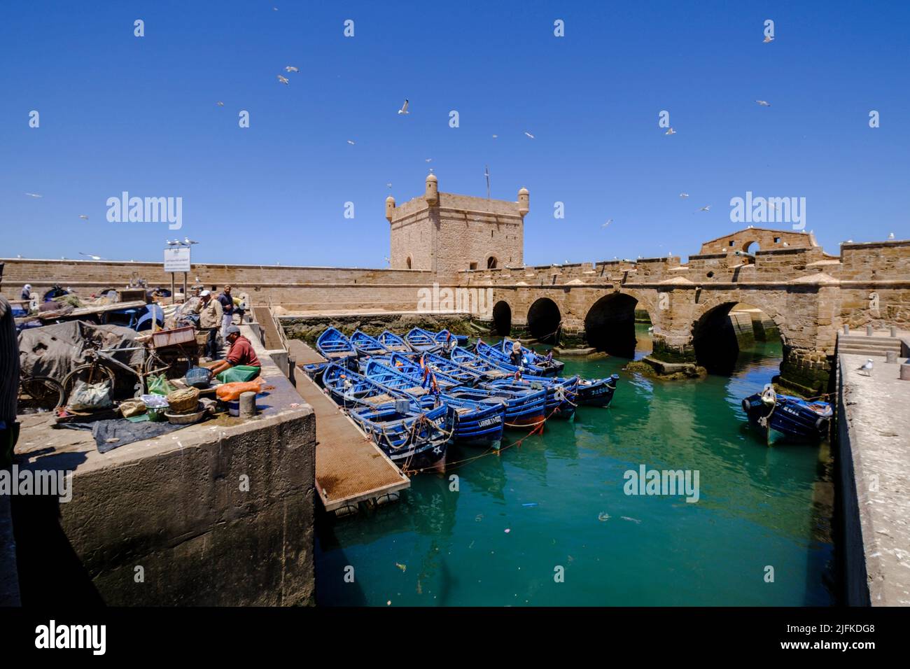 Castelo Real at fishing port, old portuguese fortress, Essaouira, morocco, africa. Stock Photo