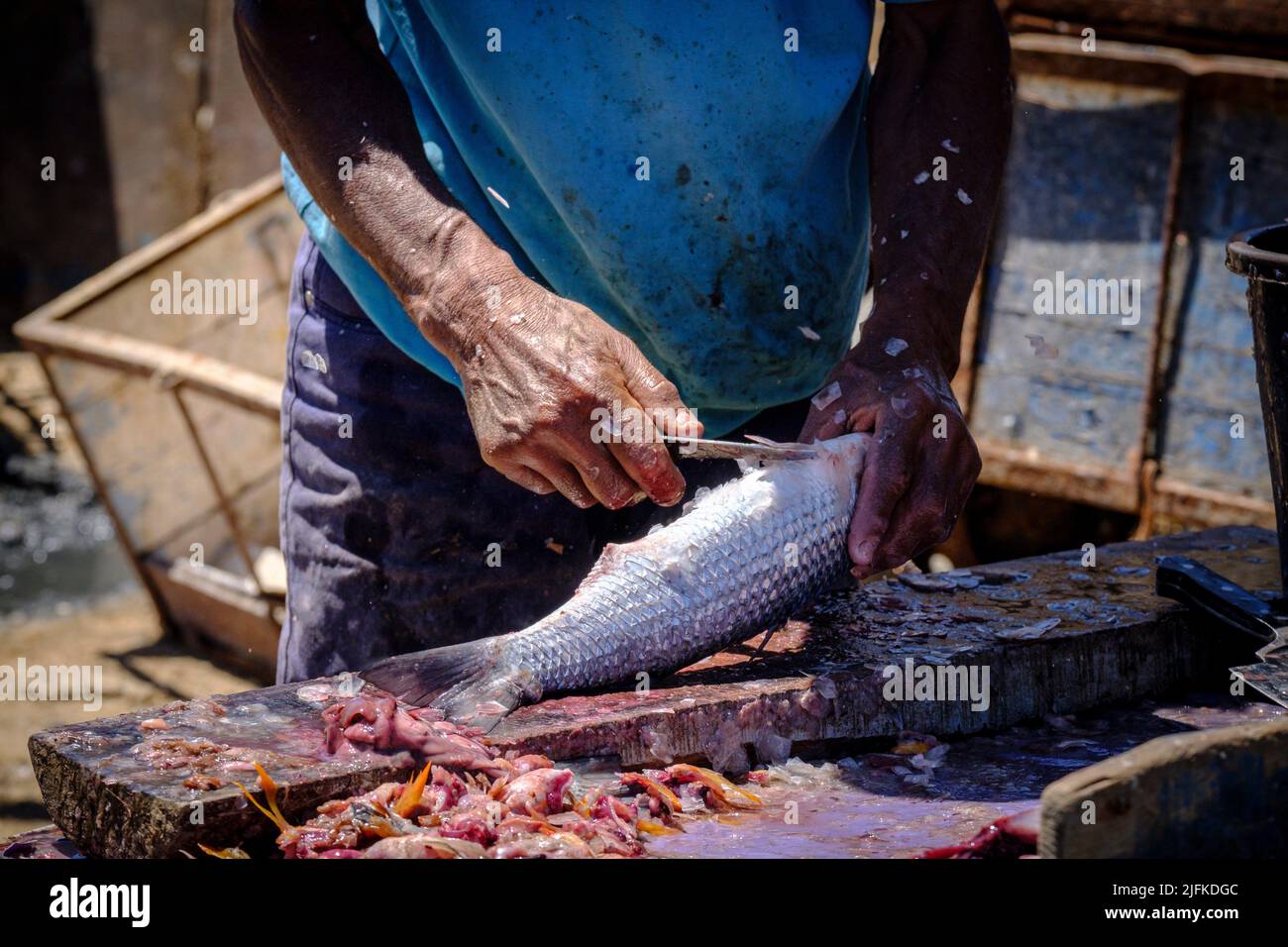 fresh fish market, fishing port, Essaouira, morocco, africa. Stock Photo