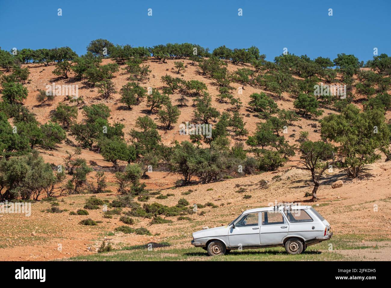 old Renault 12 familiar in front argan grove, Isk n Mansour park, road from Essaouira to Agadir,morocco, africa. Stock Photo