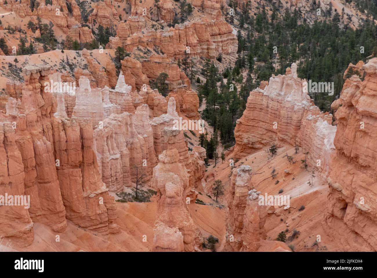 Bryce Canyon NP in Utah: the canyon from the Rim Trail between Sunset Point and Inspiration Point Stock Photo