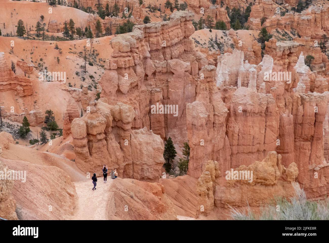 Bryce Canyon NP in Utah: the canyon from the Rim Trail near Sunset Point. Stock Photo